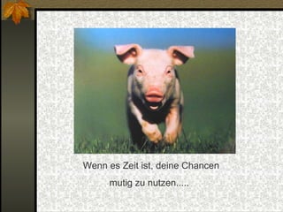 Wenn es Zeit ist, deine Chancen mutig zu nutzen..... 