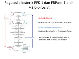 Glukoneogenesis p4 | PPTX