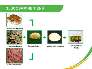 GLUCOSAMINE TIENS
Serbuk ChitinCangkang kerang Glucosamine
TIENS
Serbuk Glucosamine
Cangkang Kepiting
Cangkang udang
 