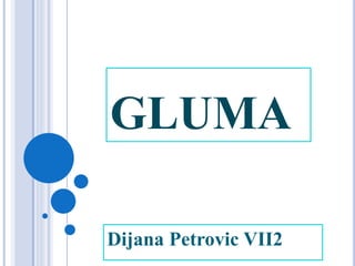 GLUMA
Dijana Petrovic VII2
 