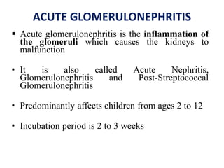 ACUTE GLOMERULONEPHRITIS
 Acute glomerulonephritis is the inflammation of
the glomeruli which causes the kidneys to
malfunction
• It is also called Acute Nephritis,
Glomerulonephritis and Post-Streptococcal
Glomerulonephritis
• Predominantly affects children from ages 2 to 12
• Incubation period is 2 to 3 weeks
 
