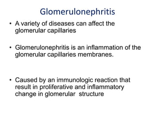 Glomerulonephritis
• A variety of diseases can affect the
glomerular capillaries
• Glomerulonephritis is an inflammation of the
glomerular capillaries membranes.
• Caused by an immunologic reaction that
result in proliferative and inflammatory
change in glomerular structure
 