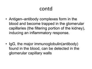 contd
• Antigen–antibody complexes form in the
blood and become trapped in the glomerular
capillaries (the filtering portion of the kidney),
inducing an inflammatory response.
• IgG, the major immunoglobulin(antibody)
found in the blood, can be detected in the
glomerular capillary walls
 