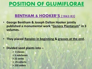 POSITION OF GLUMIFLORAE
• George Bentham & Joseph Dalton Hooker jointly
published a monumental work “Genera Plantarum” in 3
volumes.
• They placed Ranales in beginning & grasses at the end.
• Divided seed plants into –
 3 classes
3 subclasses
21 series
 25 cohorts
202 orders
BENTHAM & HOOKER’S (1862-83)
 