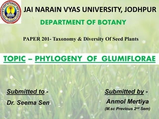 JAI NARAIN VYAS UNIVERSITY, JODHPUR
DEPARTMENT OF BOTANY
TOPIC – PHYLOGENY OF GLUMIFLORAE
Submitted to -
Dr. Seema Sen
Submitted by -
Anmol Mertiya
(M.sc Previous 2nd Sem)
PAPER 201- Taxonomy & Diversity Of Seed Plants
 