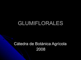 GLUMIFLORALES Cátedra de Botánica Agrícola  2008 