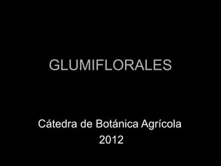 GLUMIFLORALES


Cátedra de Botánica Agrícola
           2012
 