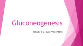Gluconeogenesis
Honey’s Group Presenting
 