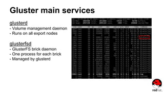 Gluster main services
glusterd
- Volume management daemon
- Runs on all export nodes
glusterfsd
- GlusterFS brick daemon
- One process for each brick
- Managed by glusterd
 