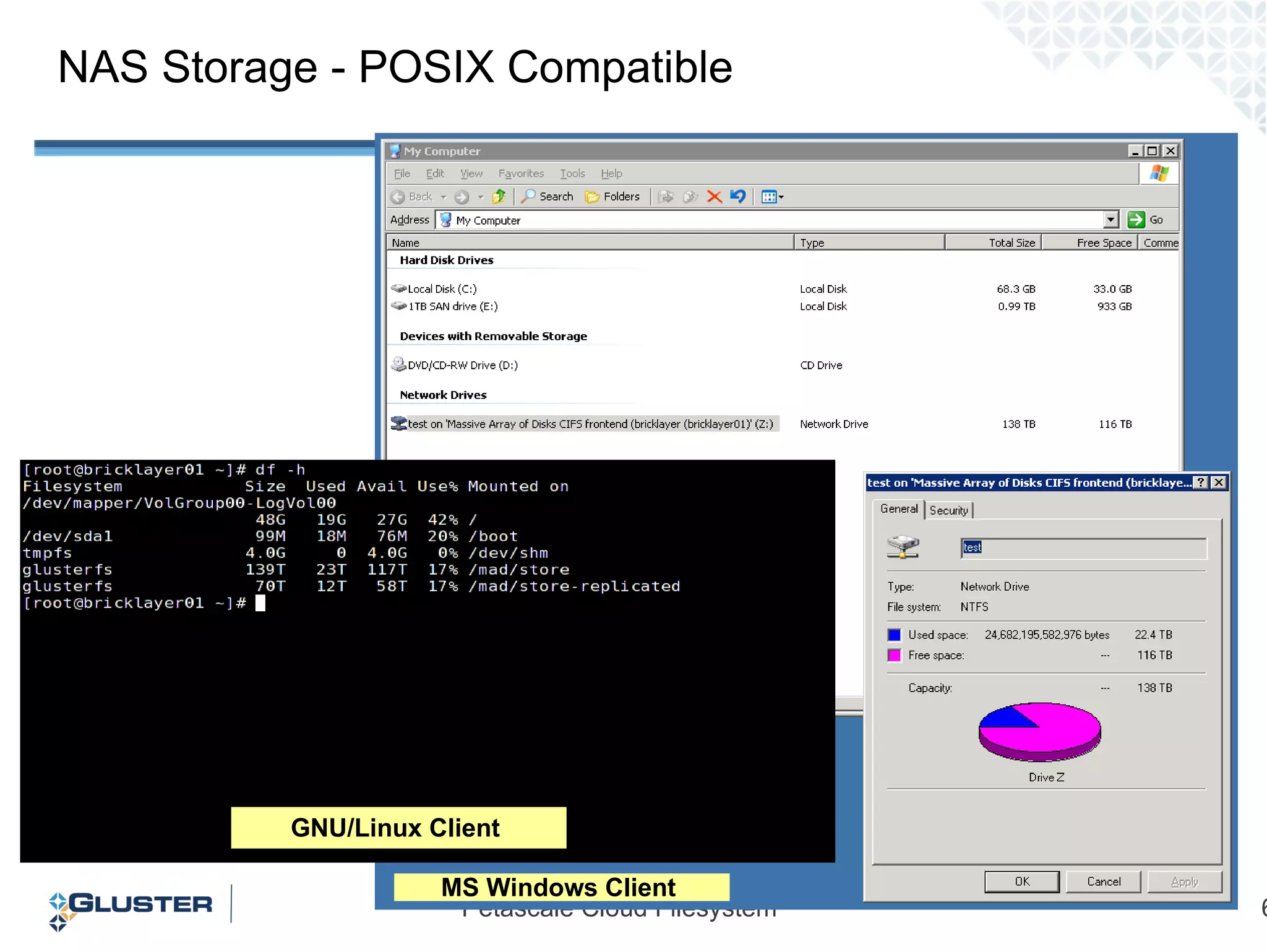 NAS Storage - POSIX Compatible  MS Windows Client  GNU/Linux Client  