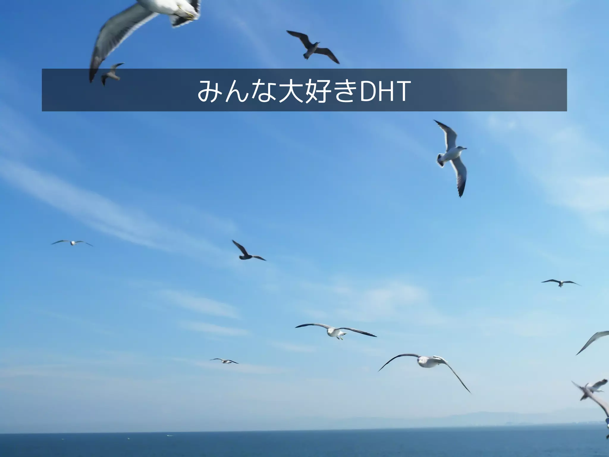 みんな大好きDHT
 
