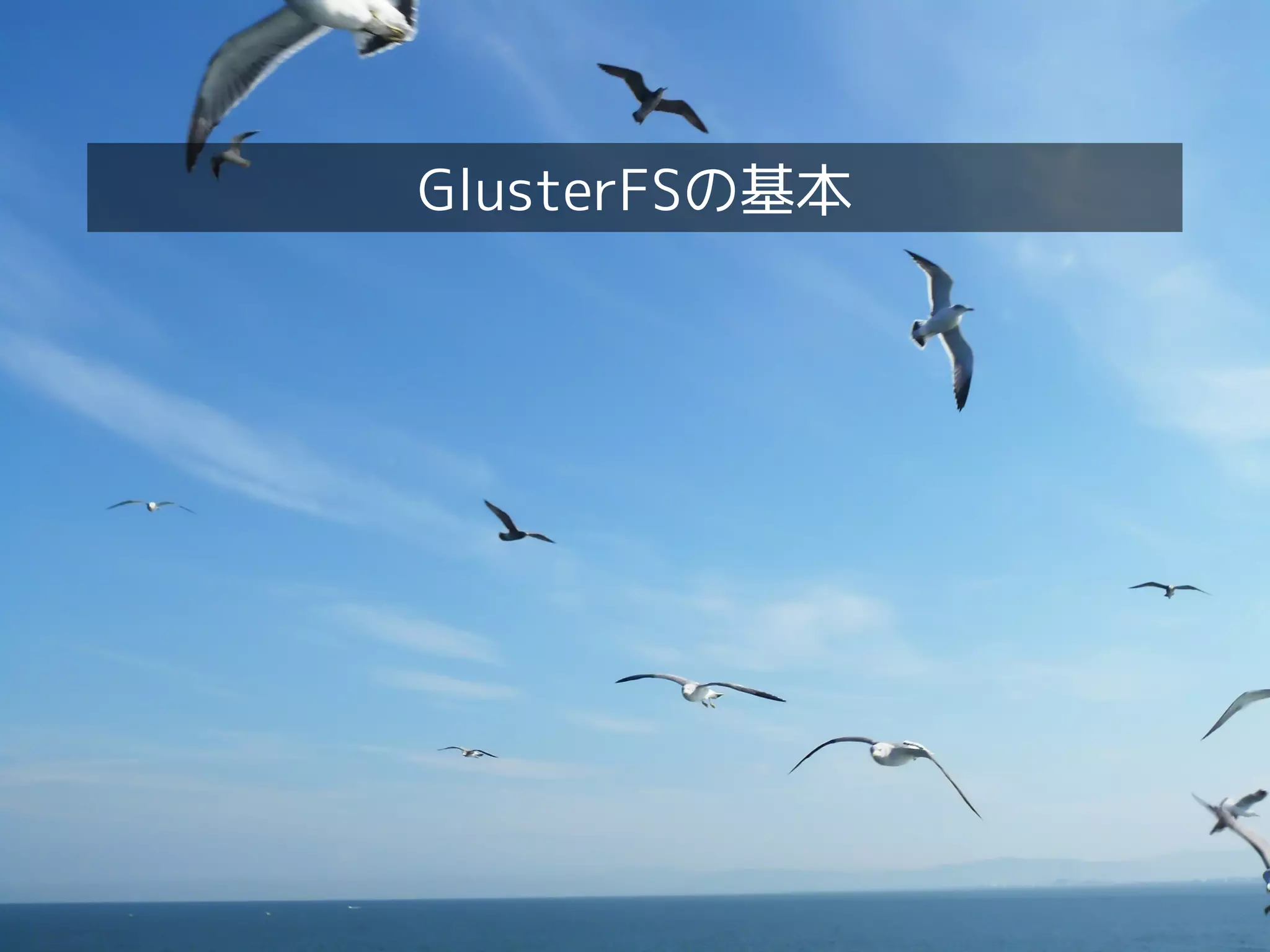 GlusterFSの基本
 