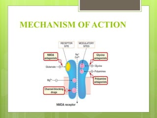 MECHANISM OF ACTION