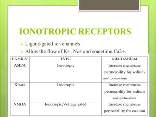 IONOTROPIC RECEPTORS
Ligand-gated ion channels.
Allow the flow of K+, Na+ and sometime Ca2+.