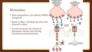 Memantine
• Non-competitive, low affinity NMDA
antagonist
• Binds to Mg2+ binding site when the
channel is open
• Can be overcome by a burst of
glutamate release seen during
normal neurotransmission
 