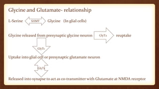 Glycine and Glutamate- relationship
L-Serine Glycine (In glial cells)
Glycine released from presynaptic glycine neuron reuptake
Uptake into glial cell or presynaptic glutamate neuron
Released into synapse to act as co-transmitter with Glutamate at NMDA receptor
SHMT
GlyT2
GlyT1
GlyT1
 