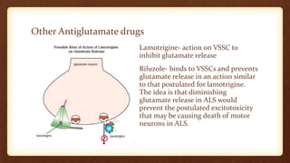 Other Antiglutamate drugs
• Lamotrigine- action on VSSC to
inhibit glutamate release
• Riluzole- binds to VSSCs and prevents
glutamate release in an action similar
to that postulated for lamotrigine.
The idea is that diminishing
glutamate release in ALS would
prevent the postulated excitotoxicity
that may be causing death of motor
neurons in ALS.
 