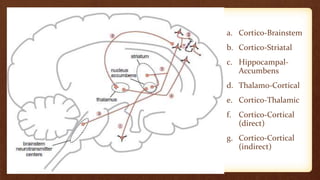a. Cortico-Brainstem
b. Cortico-Striatal
c. Hippocampal-
Accumbens
d. Thalamo-Cortical
e. Cortico-Thalamic
f. Cortico-Cortical
(direct)
g. Cortico-Cortical
(indirect)
 