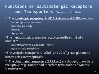 11
Functions of Glutamatergic Receptors
and Transporters (Swanson et al, 2005)
 The Ionotropic receptors: NMDA, kainate and AMPA mediate
 fast receptor transmission
 neuronal plasticity
 Pruning
 Apoptosis
The metabotropic glutamate receptors (mGlu1 - mGlu8)
modulate:
 neurotransmitter (Glutamate) release
 postsynaptic excitability.
The vesicular transporters (vGluT1 and vGluT2) load glutamate
into vesicles presynaptically.
 The glutamate transporters (EAAT1–5) are thought to mediate
the uptake of glutamate and therefore termination of synaptic
transmission.
 
