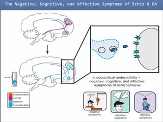 23
The Negative, Cognitive, and Affective Symptoms of Schiz & DA
 