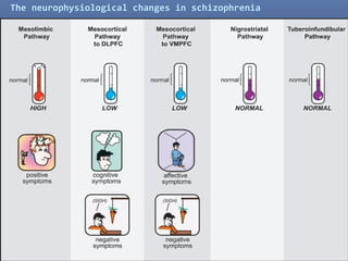 26
The neurophysiological changes in schizophrenia
 
