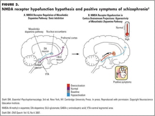 27
Role of Glutamate in the Mesolimbic System
 