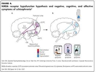 28
Role of Glutamate in the Mesocortical System
 