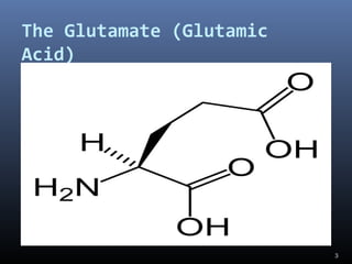 The Glutamate (Glutamic
Acid)
“the king of Neurotransmission”
3
 
