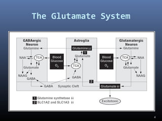 The Glutamate System
4
 
