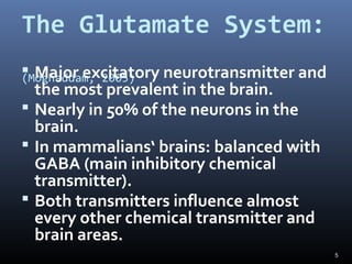 5
The Glutamate System:
(Moghaddam, 2005) Major excitatory neurotransmitter and
the most prevalent in the brain.
 Nearly in 50% of the neurons in the
brain.
 In mammalians‘ brains: balanced with
GABA (main inhibitory chemical
transmitter).
 Both transmitters influence almost
every other chemical transmitter and
brain areas.
 