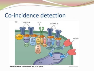 Co-incidence detection
