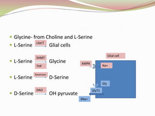 mGlu5 receptor antagonists exhibit the widest and most robust anxiolytic activity (MPEP (2-methyl-6-(phenylethynyl)-pyridine), a highly selective and brain-penetrant mGlu5 receptor antagonist)metabotropic glutamate receptor type 5 with the neuronal Ca2+-binding protein 2 modulates receptor function.activation of either mGlu(5) by positive allosteric modulators or stimulation of mGluR(2/3) receptors by agonists may offer new strategy in schizophrenia treatment.