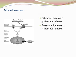 Glutamate excitotoxicity