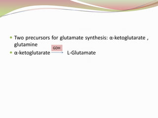 Two precursors for glutamate synthesis: α-ketoglutarate , glutamineα-ketoglutarate	        L-GlutamateGDH
