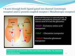 • It acts through both ligand gated ion channel (ionotropic
receptor) and G-protein coupled receptor ( Metabotropic recept...