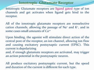 Ionotropic Glutamate Receptor
Ionotropic Glutamate receptors are ligand gated type of ion
channels and get activates when ...