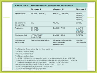 Glutamate receptors