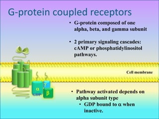 22
g
b
a
G-protein coupled receptors
Cell membrane
• G-protein composed of one
alpha, beta, and gamma subunit
• 2 primary ...