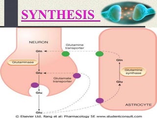 6
SYNTHESIS
 