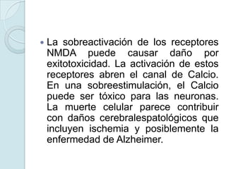   La sobreactivación de los receptores
    NMDA puede causar daño por
    exitotoxicidad. La activación de estos
    receptores abren el canal de Calcio.
    En una sobreestimulación, el Calcio
    puede ser tóxico para las neuronas.
    La muerte celular parece contribuir
    con daños cerebralespatológicos que
    incluyen ischemia y posiblemente la
    enfermedad de Alzheimer.
 