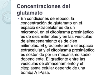 Concentraciones del
glutamato
   En condiciones de reposo, la
    concentración de glutamato en el
    espacio extracelular es de un
    micromol, en el citoplasma presináptico
    es de diez milimoles y en las vesículas
    de almacenamiento es de cien
    milimoles. El gradiente entre el espacio
    extracelular y el citoplasma presináptico
    es sostenido por un mecanismo sodio
    dependiente. El gradiente entre las
    vesículas de almacenamiento y el
    citoplasma celular depende de una
    bomba ATPasa.
 