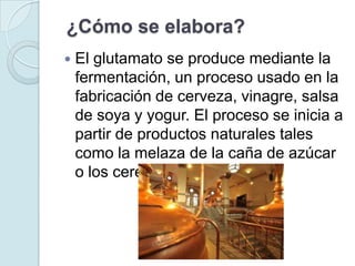 ¿Cómo se elabora?
   El glutamato se produce mediante la
    fermentación, un proceso usado en la
    fabricación de cerveza, vinagre, salsa
    de soya y yogur. El proceso se inicia a
    partir de productos naturales tales
    como la melaza de la caña de azúcar
    o los cereales.
 