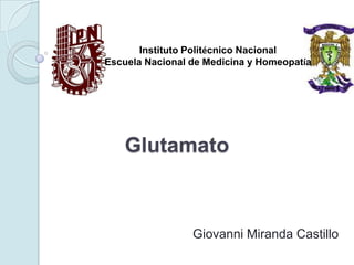 Instituto Politécnico Nacional
Escuela Nacional de Medicina y Homeopatía




    Glutamato



                 Giovanni Miranda Castillo
 