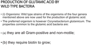 PRODUCTION OF GLUTAMIC ACID BY
WILD TYPE BACTERIA
• (i) Organisms: Wild type strains of the organisms of the four genera
mentioned above are now used for the production of glutamic acid.
• The preferred organism is however Corynebacterium glutamicum. The
properties common to the glutamic acid bacteria are:
• (a) they are all Gram-positive and non-motile;
•(b) they require biotin to grow;
 