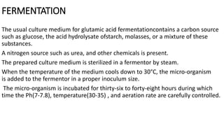 FERMENTATION
The usual culture medium for glutamic acid fermentationcontains a carbon source
such as glucose, the acid hydrolysate ofstarch, molasses, or a mixture of these
substances.
A nitrogen source such as urea, and other chemicals is present.
The prepared culture medium is sterilized in a fermentor by steam.
When the temperature of the medium cools down to 30°C, the micro-organism
is added to the fermentor in a proper inoculum size.
The micro-organism is incubated for thirty-six to forty-eight hours during which
time the Ph(7-7.8), temperature(30-35) , and aeration rate are carefully controlled.
 