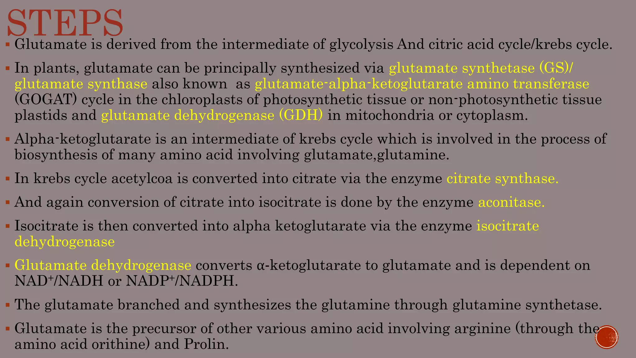 STEPS Glutamate is derived from the intermediate of glycolysis And citric acid cycle/krebs cycle.
 In plants, glutamate can be principally synthesized via glutamate synthetase (GS)/
glutamate synthase also known as glutamate-alpha-ketoglutarate amino transferase
(GOGAT) cycle in the chloroplasts of photosynthetic tissue or non-photosynthetic tissue
plastids and glutamate dehydrogenase (GDH) in mitochondria or cytoplasm.
 Alpha-ketoglutarate is an intermediate of krebs cycle which is involved in the process of
biosynthesis of many amino acid involving glutamate,glutamine.
 In krebs cycle acetylcoa is converted into citrate via the enzyme citrate synthase.
 And again conversion of citrate into isocitrate is done by the enzyme aconitase.
 Isocitrate is then converted into alpha ketoglutarate via the enzyme isocitrate
dehydrogenase
 Glutamate dehydrogenase converts α-ketoglutarate to glutamate and is dependent on
NAD+/NADH or NADP+/NADPH.
 The glutamate branched and synthesizes the glutamine through glutamine synthetase.
 Glutamate is the precursor of other various amino acid involving arginine (through the
amino acid orithine) and Prolin.
 