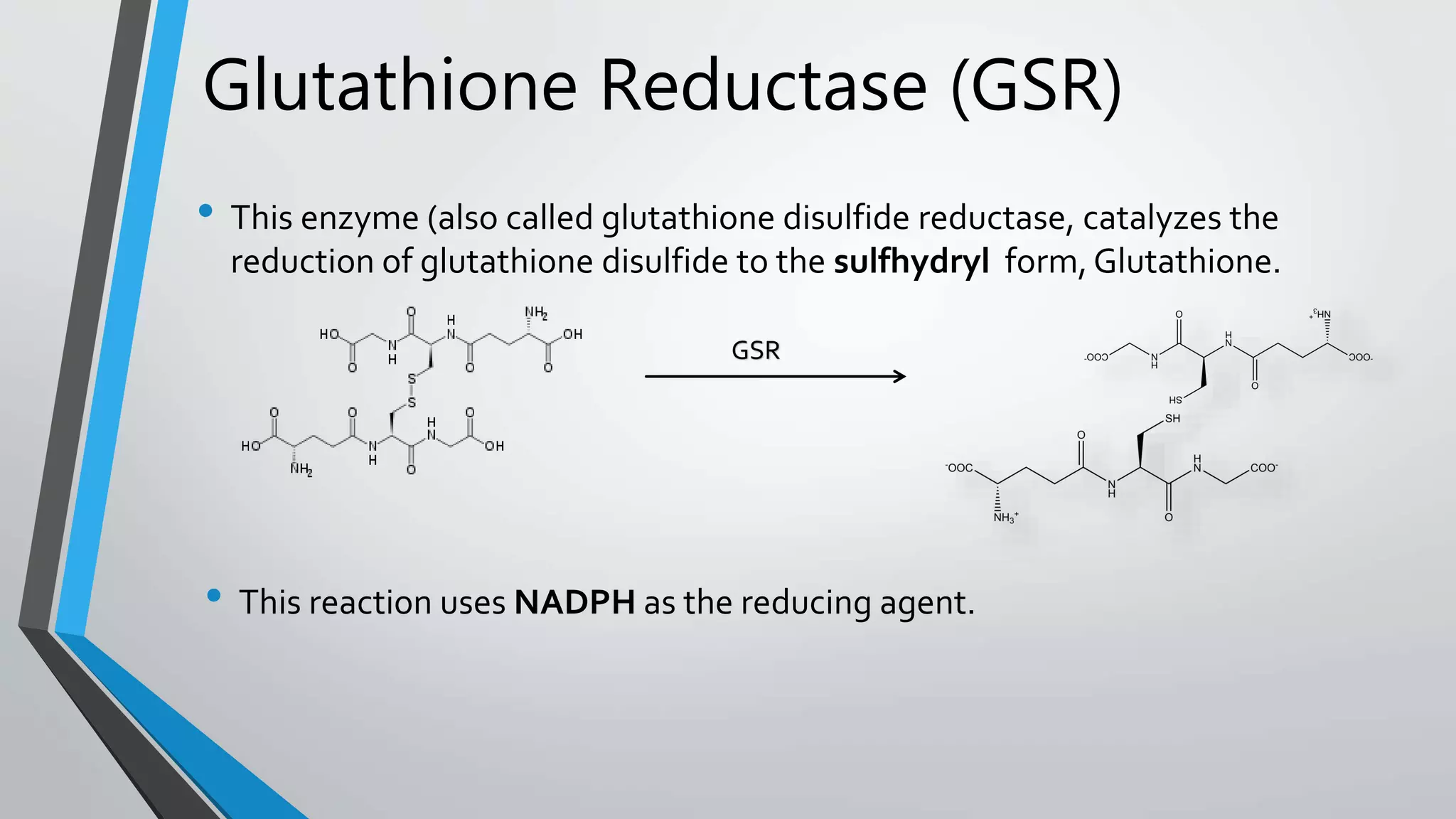 glutathione slideshare Glutathione