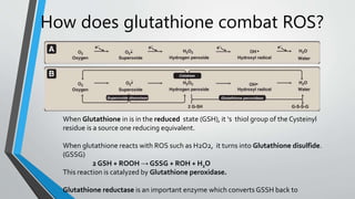 glutathione slideshare تبسيط عملية Glutathione (GSH) conjugated بأسهل طريقة | عضوية وزاري main image 1