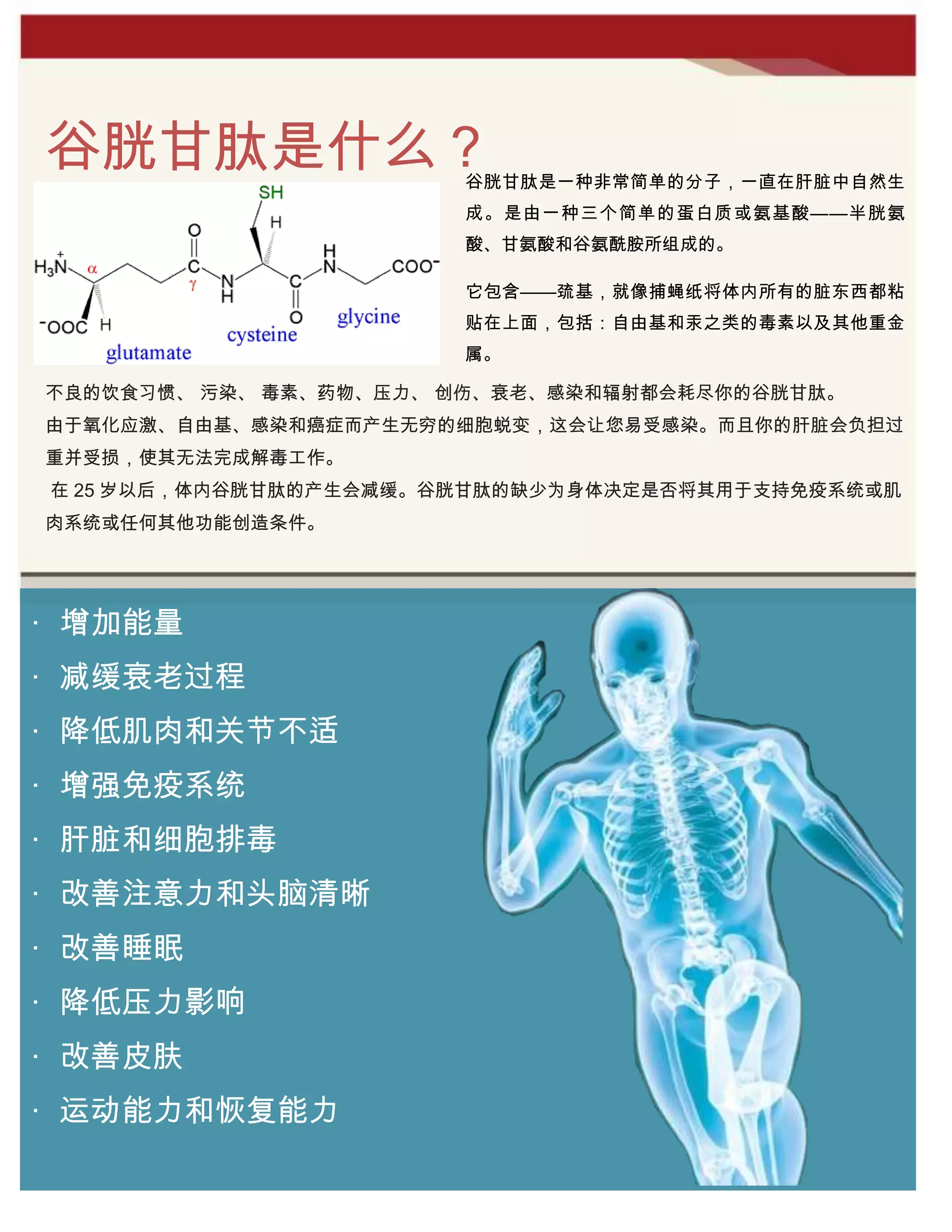 l glutathione 中文 Glutathione Chinese