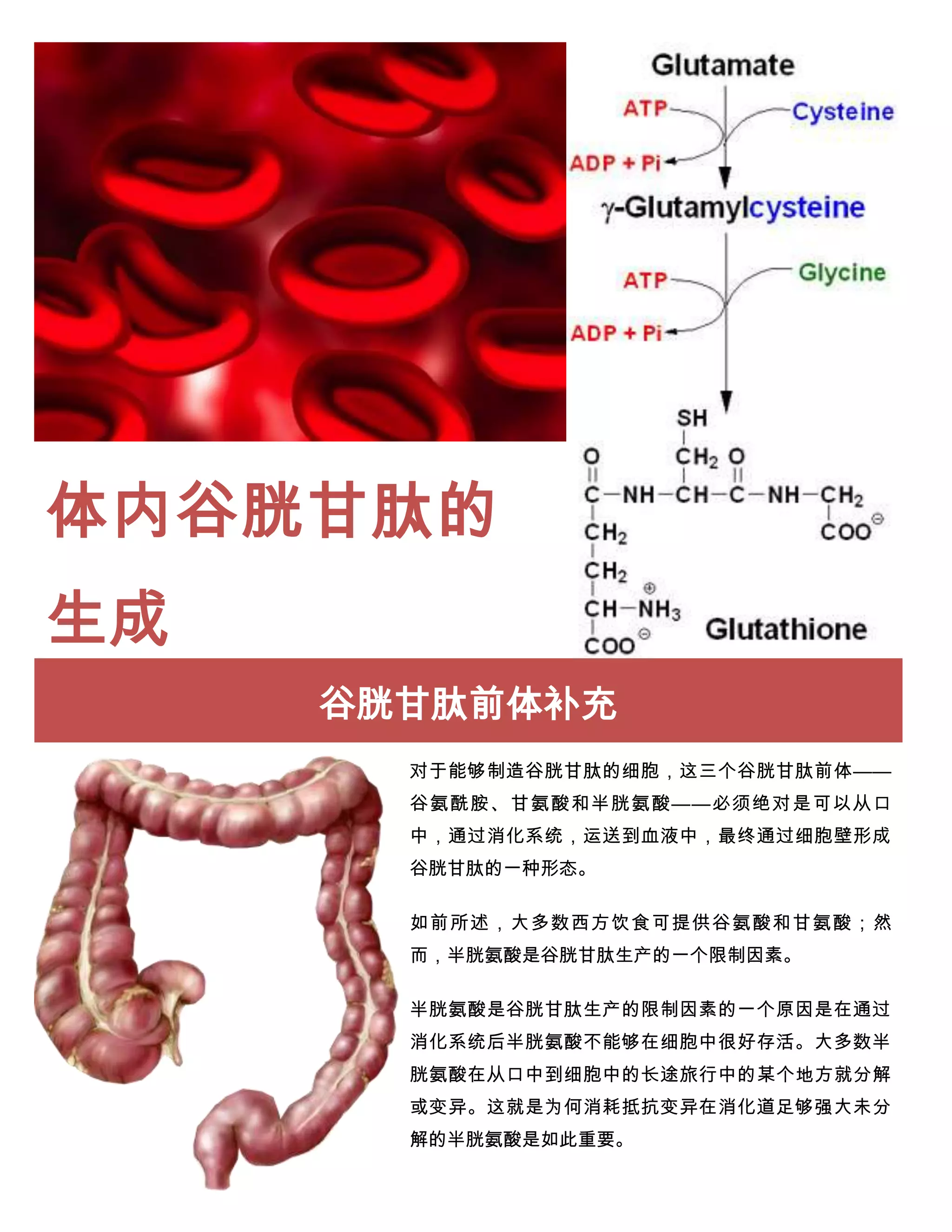 glutathione in chinese Glutathione Chinese